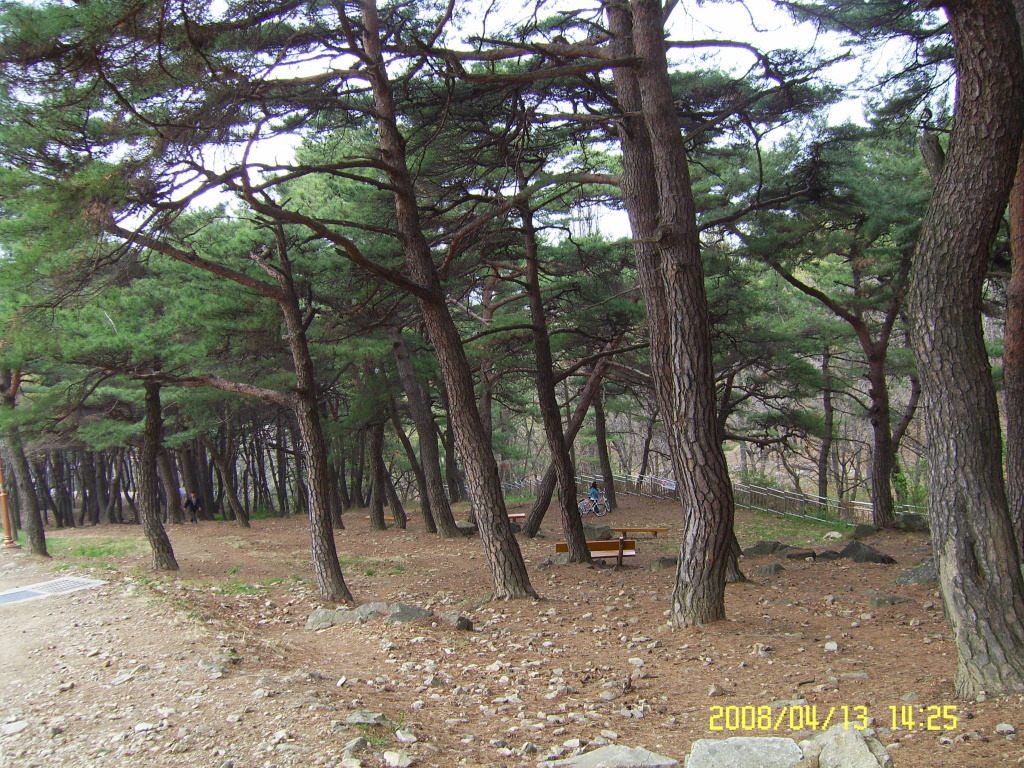 앞산으로 가는길 이미지