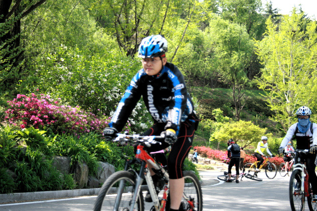 일MTB 이미지