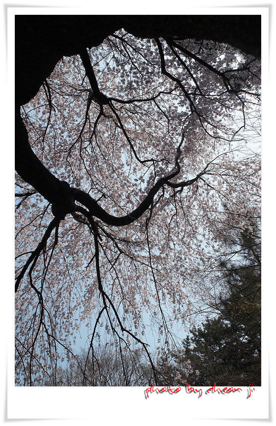 �̹����� Ŭ���ϸ� ������ ���� �� �ֽ��ϴ�.