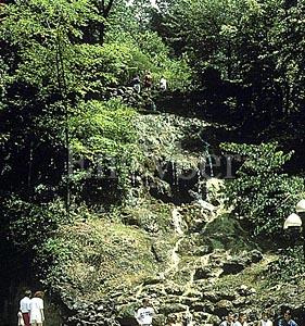 유일공업(주) 이미지
