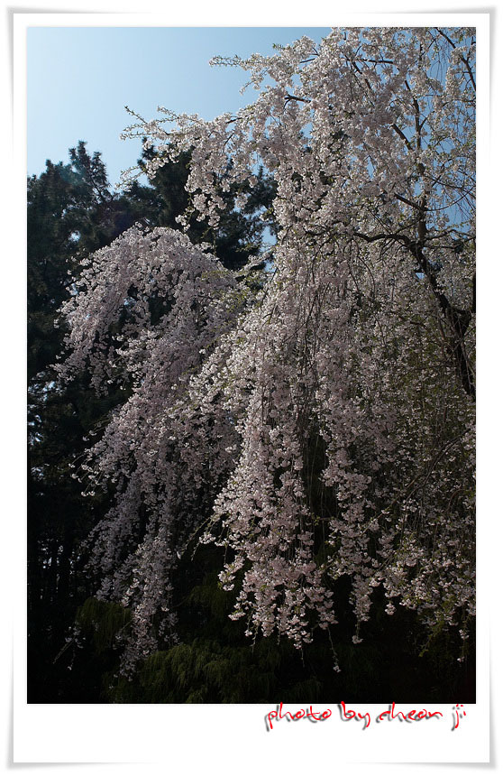 �̹����� Ŭ���ϸ� ������ ���� �� �ֽ��ϴ�.