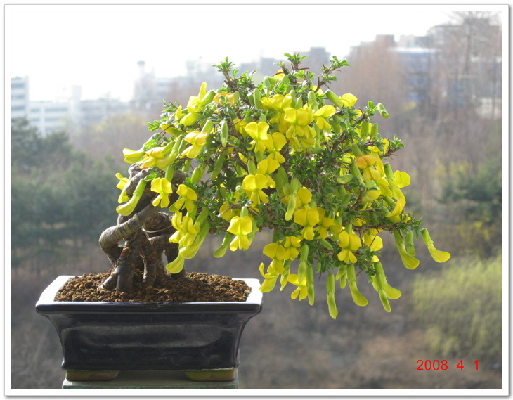 더블클릭을 하시면 이미지를 수정할 수 있습니다