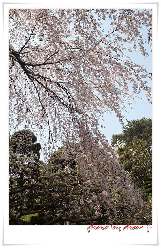 �̹����� Ŭ���ϸ� ������ ���� �� �ֽ��ϴ�.