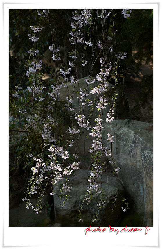 �̹����� Ŭ���ϸ� ������ ���� �� �ֽ��ϴ�.