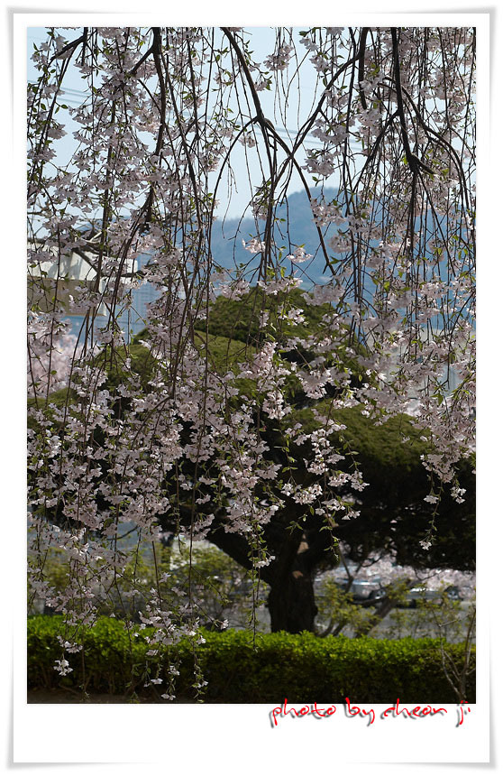 �̹����� Ŭ���ϸ� ������ ���� �� �ֽ��ϴ�.