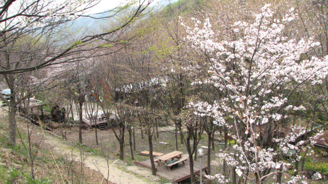 매봉산장 이미지