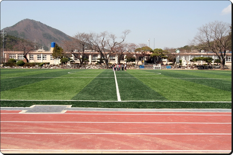 생림초등학교 이미지