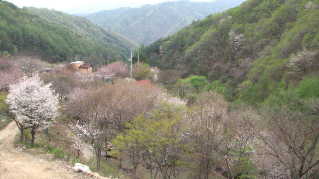 매봉산장 이미지